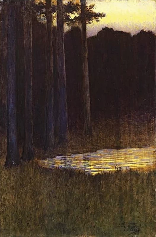 La foresta di notte